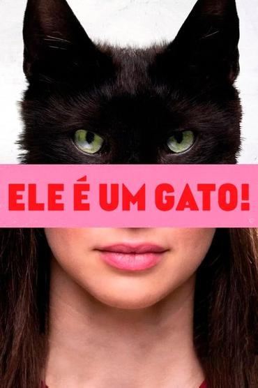 Ele é Um Gato!