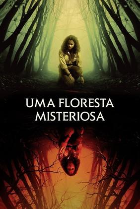 Uma Floresta Misteriosa
